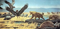 Restoration of a group of feeding S. fatalis in La Brea, one scaring away Teratornis, by Knight, 1931