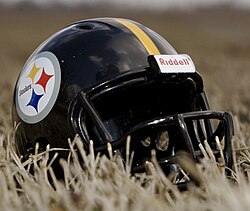 The Steelers logo incorporates the hypocycloid logo of the US Steel industry.