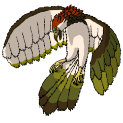 Artist's depiction of a Pouākai