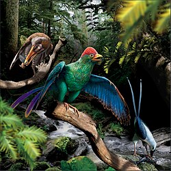 Life reconstruction of enantiornithine birds feeding (left Longipteryx, centre Bohaiornis and right Pengornis)