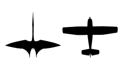 Comparison of Quetzalcoatlus northropi with a Cessna 172 light aircraft