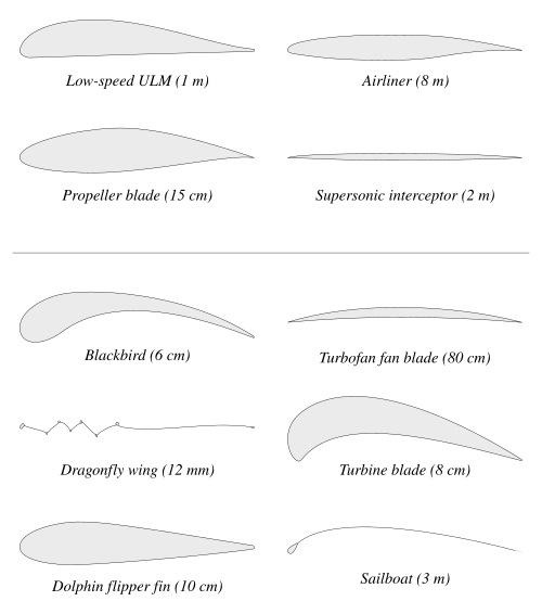 Examples of airfoils in nature, aircraft (ULM = ultralight/microlight), jet engine, and sailing boat The dolphin flipper works in the same way in water and is an example of a hydrofoil.