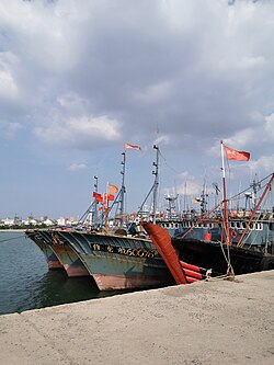 Fishing fleet at Longkou port