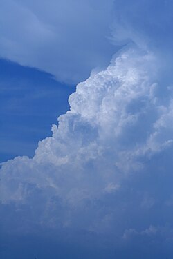 Warm, moist updraft from a thunderstorm associated with a southward-moving frontal boundary - taken from Texarkana, Texas, looking north