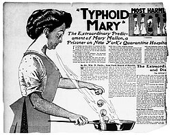 Newspaper article. The left side is taken up by a cartoon of Mallon cooking, adding a representation of death to a frying pan.