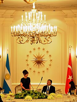 Fernández de Kirchner with Turkish president Abdullah Gul in Ankara, 2011