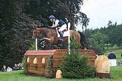 A cross country competitor