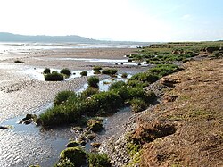 Caerlaverock is a national nature reserve managed by NatureScot.