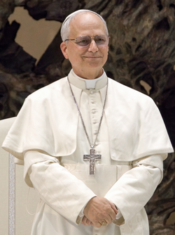 Pope Leo XIV, the leader of the Catholic Church since 2025
