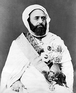 Abd al-Qadir al-Jaza’iri in 1865