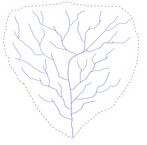 Top-down illustration of a dendritic drainage basin. The dashed line is the main water divide of the hydrography basin.