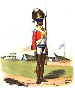 1806 illustration of a Bombay Army grenadier