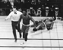 Ali on the canvas
