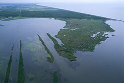Aerial view of Louisiana's wetland habitats