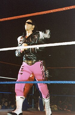 Bret Hart was the biggest star of the New Generation Era and defeated Yokozuna to win back the WWF World Heavyweight Championship in the main event of WrestleMania 10.