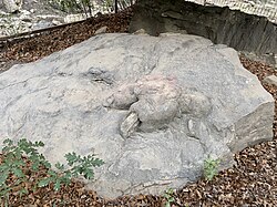Probable footprint from New Mexico