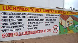 Information campaign for prevention of dengue and yellow fever in Paraguay