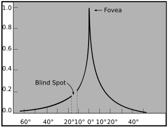 Diagram showing the relative acuity of the left human eye (horizontal section) in degrees from the fovea