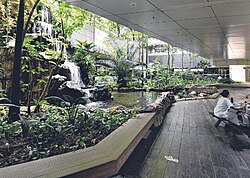 Indoor Garden, Khoo Teck Puat Hospital, SIngapore