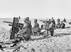 The Hong Kong and Singapore Mountain Artillery Battery part of the Imperial Camel Corps Brigade