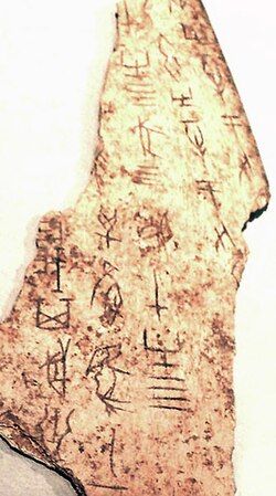 Fragments of divination on bull scapula