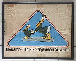 Transition Training Squadron emblem while at Naval Air Station Banana River