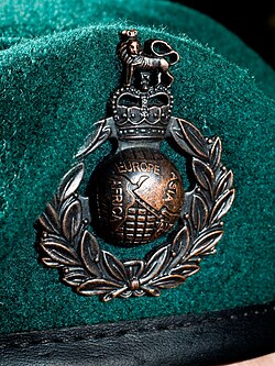 RM cap badge and green beret of the Royal Marines Commandos.