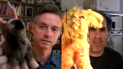 Wright and Mickey Kaus comparing stuffed moose visual aids on Bloggingheads.tv