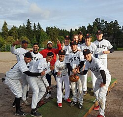 The Tampere Tigers celebrating the 2017 title in Turku, Finland