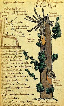 Iron observation post camouflaged as a tree by Cubist painter André Mare, 1916