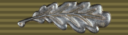 The Imtiazi Sanad of the Pakistan Armed Forces