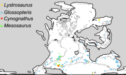 Distribution of four Permian and Triassic fossil groups used as biogeographic evidence for continental drift, land bridging.