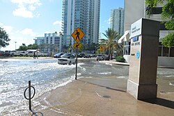 Tidal flooding on a sunny day, during the "king tides" in Brickell, Miami in 2016
