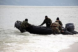 Brazilian marines