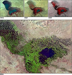 Lake Chad in a 2001 satellite image, with the actual lake in blue. The lake has shrunk by 95% since the 1960s.[167]