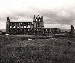 Whitby Abbey