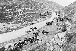 The 1st Light Horse Brigade resting on the road between Jerusalem and Latron after fighting at Abu Tellul on 14–16 July