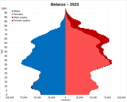 Population pyramid of Belarus in 2023 (stage 5)