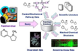 Diagram exemplifying how the different databases that compose PubChem interact with each other and with the user, as depicted by Rosania et al., 2007[17]
