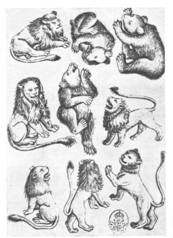The 9 of Beasts from the playing cards. The central climbing bear also appears in an illuminated copy of the Gutenberg Bible. This is a "multiple-plate card", where each animal is on a separate small copper plate, several of which are reused on other cards.[1]