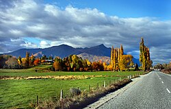 Autumn in Otago, 2004