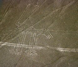 "The Dog" from the air