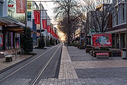 Cashel Street, 2019