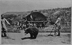 A bear festival by the Nivkh around 1903