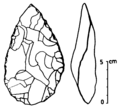 Cordiform