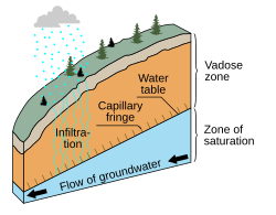 Cross-section of a hillslope depicting the vadose zone, capillary fringe, water table, and the phreatic or saturated zone. (Source: United States Geological Survey.)