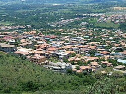 Urban tree canopy at an estate in the Gauteng Province, South Africa