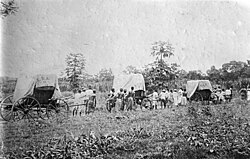Cotton transport in Togo, c. 1900. Coffee, cacao, cotton, and products from the coconut palm were pretty much the only goods produced for the German and international markets in Togo, as in the other German tropical colonies.