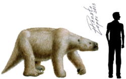 Size comparison of Mylodon darwini compared to a human