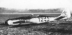 A Fw 190D-9 of 10./JG 54 Grünherz, pilot (Leutnant Theo Nibel), downed by a partridge which flew into the nose radiator near Brussels on 1 January 1945